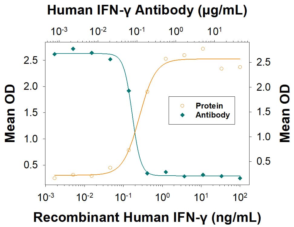 Recombinant Human IFN-gamma (285-IF) reduces the Encephalomyocarditis Virus (EMCV)-induced cytopathy in the HeLa human cervical epithelial carcinoma cell line in a dose-dependent manner (orange line), as measured by crystal violet staining. Inhibition of EMCV activity elicited by Recombinant Human IFN-gamma (5 ng/mL) is neutralized (green line) by increasing concentrations of Goat Anti-Human IFN-gamma Antigen Affinity-purified Polyclonal Antibody (Catalog # AF-285-NA). The ND50 is typically 0.0300 ‑ 0.300 µg/mL.