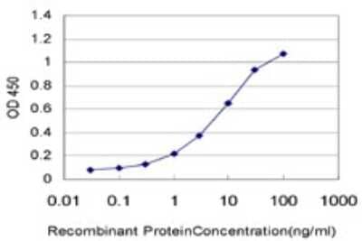 Sandwich ELISA IFN-epsilon Antibody (3B8)