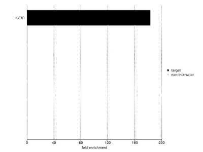 Mass Spectrometry: IGF-I R/IGF1R Antibody (17-69) [NB500-705] - IP-MS enrichment of IGF1R (LFQ intensity): IGF1R was enriched 183-fold from MCF7 lysate compared to background proteins, using the optimized IP-MS workflow with Pierce MS-Compatible Magnetic IP Kit protein A/G and IGF1R antibody.