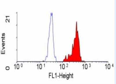 Flow Cytometry: IGF-II R/Mannose 6 Phosphate Receptor (Cation independent) Antibody (MEM-238) [FITC] [NB100-63599] - Mannose 6 Phosphate Receptor (Cation independent) Antibody (MEM-238)[NB100-63599]- Staining human peripheral blood monocytes following permeablisation with Leucoperm (Fix & Perm) (BUF09).