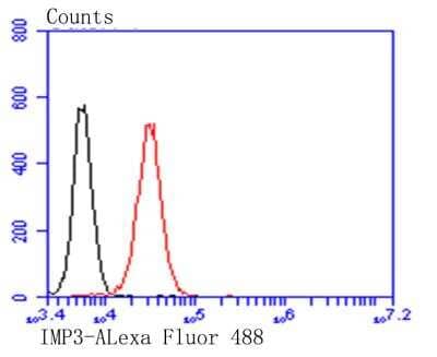 Flow Cytometry: IGF2BP3 Antibody (4-C2-5) [NBP2-76890] - Flow cytometric analysis of PANC-1 cells with IMP3 antibody at 1/100 dilution (red) compared with an unlabelled control (cells without incubation with primary antibody; black). Alexa Fluor 488-conjugated goat anti-mouse IgG was used as the secondary antibody.