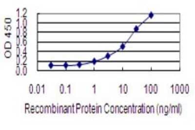 Sandwich ELISA: IGKV1OR2-108 Antibody (3A11) [H00028862-M01] - Detection limit for recombinant GST tagged IGKV1OR2-108 is 0.3 ng/ml as a capture antibody.