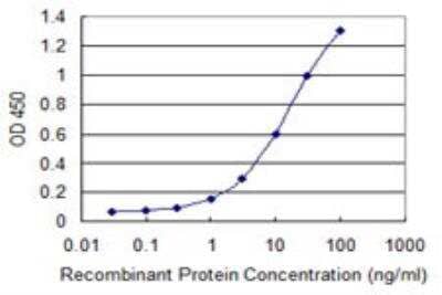ELISA: IGSF6/DORA Antibody (1A10) [H00010261-M02] - DORA Antibody (1A10) [H00010261-M02] - Detection limit for recombinant GST tagged IGSF6 is 0.3 ng/ml as a capture antibody.