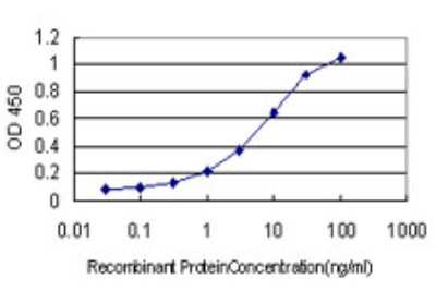 Sandwich ELISA: IGSF8/CD316 Antibody (1E4) [H00093185-M01] - Detection limit for recombinant GST tagged IGSF8 is approximately 0.1ng/ml as a capture antibody.