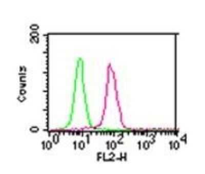 Flow Cytometry: IKK alpha Antibody (14A231) - Azide Free [NBP2-27409] - Intracellular staining of HEK293 cells using 0.5 ug of IKKa antibody (red) and isotype control (green).  Intracellular flow kit was used for this test, and an anti-mouse IgG1 PE conjugated secondary antibody.