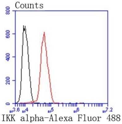 Flow Cytometry: IKK alpha Antibody (SN06-99) [NBP2-67651] - Analysis of Hela cells with IKK alpha antibody at 1/50 dilution (red) compared with an unlabelled control (cells without incubation with primary antibody; black). Alexa Fluor 488-conjugated goat anti rabbit IgG was used as the secondary antibody