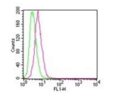 Flow Cytometry: IKK beta Antibody (10A9B6) - Azide Free [NBP2-33214] - Analysis using the Alexa Fluor (R) 488 conjugate. Staining of IKK in HEK 293 cells using 0.1 ug of this antibody. Green histogram represents the isotype control , red represents the IKK antibody.