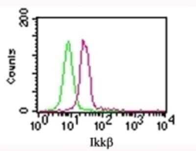 Flow Cytometry: IKK beta Antibody (10AG2) - Azide and BSA Free [NBP2-80788] - Intracellular staining of HEK293 cells with 0.5 ug of IKKbeta antibody (red) and 0.5 ug of isotype control antibody (20109, green). Intracellular flow kit was used for this test, and an anti-mouse IgG1 PE conjugated secondary. Image from the standard format of this antibody.