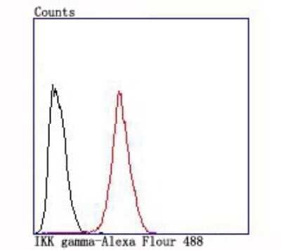 Flow Cytometry: IKK gamma Antibody (JA11-83) [NBP2-66904] - Analysis of Hela cells with IKK gamma antibody at 1/100 dilution (red) compared with an unlabelled control (cells without incubation with primary antibody; black).
