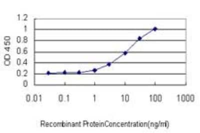 ELISA: IL-1 RAPL1/IL-1 R8 Antibody (1C10) [H00011141-M04] - Detection limit for recombinant GST tagged IL1RAPL1 is approximately 0.3ng/ml as a capture antibody.