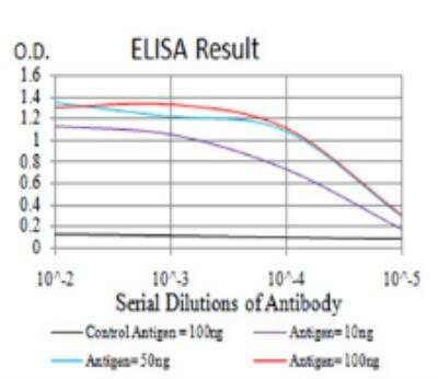 ELISA: IL-1 RAPL1/IL-1 R8 Antibody (2H3C12) [NBP2-52491] - Black line: Control Antigen (100 ng);Purple line: Antigen (10ng); Blue line: Antigen (50 ng); Red line:Antigen (100 ng)