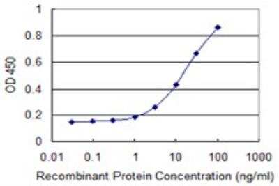 ELISA: IL-1 RAcP/IL-1 R3 Antibody (2A3) [H00003556-M06] - Detection limit for recombinant GST tagged IL1RAP is 0.3 ng/ml as a capture antibody.