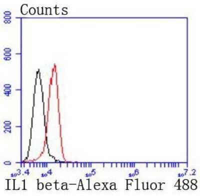 Flow Cytometry: IL-1 beta/IL-1F2 Antibody (JJ087-3) [NBP2-67865] - Analysis of Hela cells with IL1 beta antibody at 1/50 dilution (red) compared with an unlabelled control (cells without incubation with primary antibody; black). Alexa Fluor 488-conjugated goat anti rabbit IgG was used as the secondary antibody