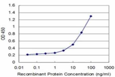 Sandwich ELISA: IL-12 R beta 2 Antibody (2H6) [H00003595-M02] - Detection limit for recombinant GST tagged IL12RB2 is approximately 1ng/ml as a capture antibody.