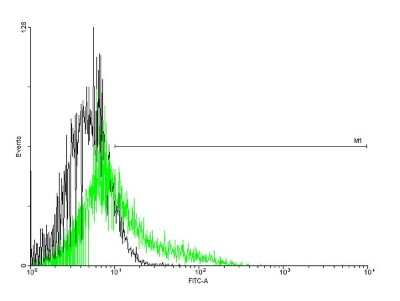 Flow Cytometry: IL-13 R alpha 2 Antibody [H00003598-B01P] - Analysis of negative control 293 cells (Black) and IL13RA2 expressing 293 cells (Green) using IL13RA2 purified mouse polyclonal antibody.