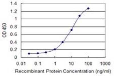 ELISA: IL-15R alpha Antibody (1C5) [H00003601-M01] - Detection limit for recombinant GST tagged IL15RA is 0.1 ng/ml as a capture antibody.