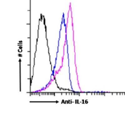 Flow Cytometry: IL-16 Antibody (14.1) - Chimeric [NBP3-09027] - Human peripheral blood leukocytes were stimulated with PMA and Ionomycin in presence of Monensin for 4 hours. The cells were fixed using 2% PFA, permeabilized using 0.5% Triton and stained with anti-Fluorescein IgG antibody (4-4-20; isotype control, black line) or the rabbit IgG version of 14.1 (NBP3-09027, pink line) at a dilution of 1:100 for 1h at RT. The blue line shows unstimulated human peripheral blood leukocytes stained with NBP3-09027. After washing, bound antibody was detected using a goat anti-mouse IgG AlexaFluor(R) 488 antibody at a dilution of 1:1000 and cells were analyzed using a FACSCanto flow-cytometer.