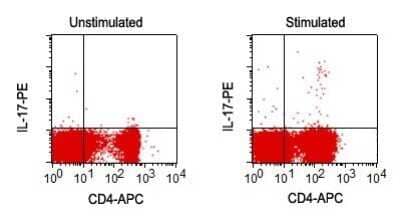 Flow Cytometry: IL-17/IL-17A Antibody (4H1524) - Azide Free [NBP2-25229] - Analysis using the PE conjugate of NBP2-25229. IL-17A positive cells in PMA/IM stimulated fresh PBMC: PBMC stimulated for 6h with PMA (25ng/ml) & IM (250ng/ml), in the presence of BFA. Cells were surface stained with CD4 APC, fixed & permeabilizedfor intracellular staining with PE conjugated