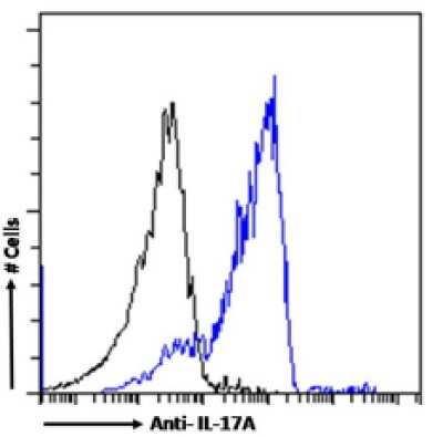 Flow Cytometry: IL-17/IL-17A Antibody (MM17F3) - Chimeric [NBP3-12035] - Mouse splenocytes were stimulated with PMA and Ionomycin in presence of Monensin for 4 hours. The cells were fixed using 2% PFA, permeabilized using 0.5% Triton and stained with anti-Fluorescein IgG antibody (4-4-20; isotype control, black line) or the rabbit IgG version of MM17F3 (NBP3-12035, blue line) at a dilution of 1:100 for 1h at RT. After washing, bound antibody was detected using a goat anti-mouse IgG AlexaFluor(R) 488 antibody at a dilution of 1:1000 and cells were analyzed using a FACSCanto flow-cytometer.