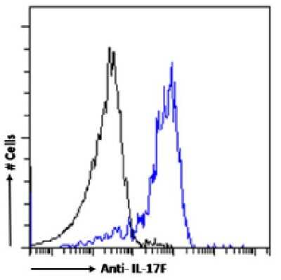 Flow Cytometry: IL-17F Antibody (8F5.1A9) - Chimeric [NBP3-12034] - Mouse splenocytes were stimulated with PMA and Ionomycin in presence of Monensin for 4 hours. The cells were fixed using 2% PFA, permeabilized using 0.5% Triton and stained with anti-Fluorescein IgG antibody (4-4-20; isotype control, black line) or the rabbit IgG version of 8F5.1A9 (NBP3-12034, blue line) at a dilution of 1:100 for 1h at RT. After washing, bound antibody was detected using a goat anti-mouse IgG AlexaFluor(R) 488 antibody at a dilution of 1:1000 and cells were analyzed using a FACSCanto flow-cytometer.