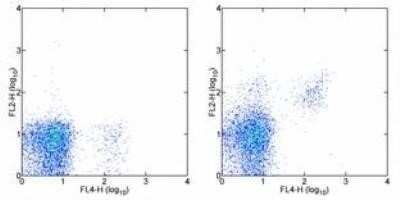 Flow Cytometry: IL-2 R beta Antibody (TM-b1) - Azide Free [NBP2-53132] - Staining of C57Bl/6 splenocytes with Anti-Mouse NK1.1 APC and 0.25 ug of Rat IgG2b K Isotype Control Purified (left) or 0.5 ug of Anti-Mouse CD122 Purified (right) followed by Anti-Rat IgG Biotin and Streptavidin PE . Cells in the lymphocyte gate were use