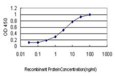 ELISA: IL-20 Antibody (2H8) [H00050604-M01] - Detection limit for recombinant GST tagged IL20 is approximately 0.3ng/ml as a capture antibody.