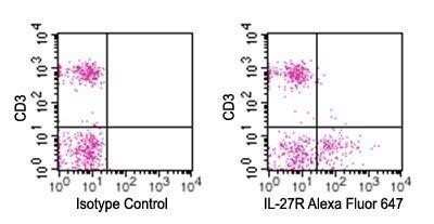 Flow (Cell Surface): IL-27R alpha/WSX-1/TCCR Antibody (34N4G11) - Azide and BSA Free [NBP2-80807] - Analysis using the Alexa Fluor (R) 647 conjugate of NBP2-19015. Surface staining of IL27R on freshly isolated (PPI negative) human PBMCs using IL-27R antibody and CD3 antibody at 10 ul/10^6 cells. Flow kit, mouse IgG2b isotype control antibody, and RBC lysis buffer were used for this test.