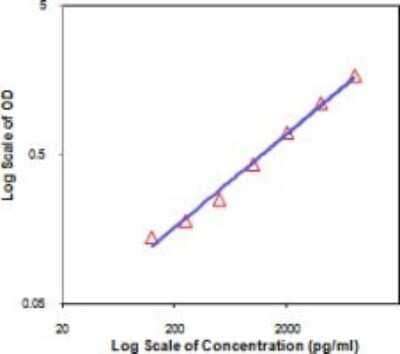 ELISA: IL19 Antibody (RN19) [NBP2-00394] - Standard curve of mouse IL-19.