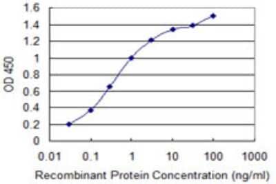 Sandwich ELISA: IL1F9 Antibody (2A8) [H00056300-M02] - Detection limit for recombinant GST tagged IL1F9 is 0.03 ng/ml as a capture antibody.