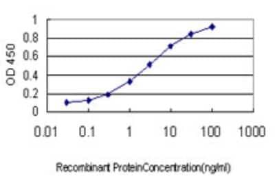 ELISA: IL1F9 Antibody (8A11) [H00056300-M01] - Detection limit for recombinant GST tagged IL1F9 is approximately 0.03ng/ml as a capture antibody.