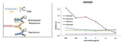 ELISA Detection (Matched Antibody Pair): IL6R Antibody (105D9.05) [DDX5022B-100] - Positive control for anti-Roactemra (anti-Tocilizumab) detection using bridging Elisa