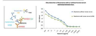 ELISA Detection (Matched Antibody Pair): IL6R Antibody (105D9.05) [DDX5022B-100] - Roactemra (Tocilizumab) detection by DDX5020/101G1.01 is not affected by human serum