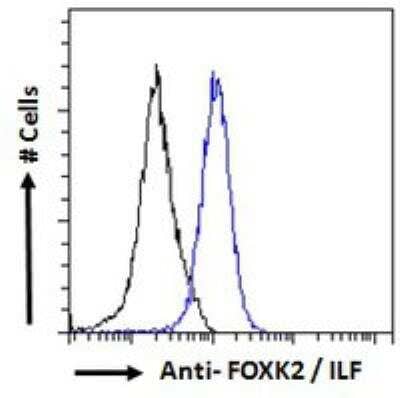 Flow Cytometry: ILF1 Antibody [NB100-1285] - Flow cytometric analysis of paraformaldehyde fixed HeLa cells (blue line), permeabilized with 0.5% Triton. Primary incubation 1hr (10ug/ml) followed by Alexa Fluor 488 secondary antibody (1ug/ml). IgG control: Unimmunized goat IgG (black line) followed by Alexa Fluor 488 secondary antibody.