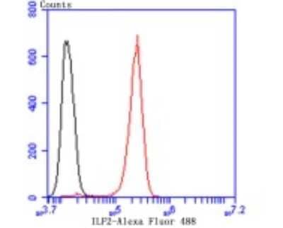 Flow Cytometry: ILF2 Antibody (JU50-33) [NBP2-75539] - Analysis of SH-SY-5Y cells with ILF2 antibody at 1/100 dilution (red) compared with an unlabelled control (cells without incubation with primary antibody; black). Alexa Fluor 488-conjugated goat anti rabbit IgG was used as the secondary antibody.