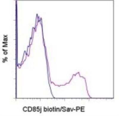 Flow Cytometry: ILT2/CD85j/LILRB1 Antibody (HP-F1) [NBP1-42998] - Analysis using the Biotin conjugate of NBP1-42998. Staining of normal human peripheral blood cells with 0.125 micrograms of Mouse IgG1 k Isotype Control Biotin (blue histogram) or Anti-Human CD85j (ILT2) Biotin (purple histogram) followed by Streptavidin PE. Cells in the lymphocyte gate were used for analysis.