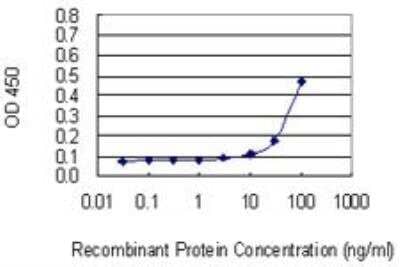 ELISA: ILT4/CD85d/LILRB2 Antibody (1D4) [H00010288-M01] - Detection limit for recombinant GST tagged LILRB2 is 3 ng/ml as a capture antibody.