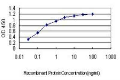 ELISA: IMPDH1 Antibody (3G6) [H00003614-M01] - Detection limit for recombinant GST tagged IMPDH1 is approximately 0.03ng/ml as a capture antibody.