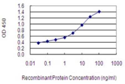 Sandwich ELISA: IMPG2 Antibody (3H5) [H00050939-M02] - Detection limit for recombinant GST tagged IMPG2 is 0.03 ng/ml as a capture antibody.