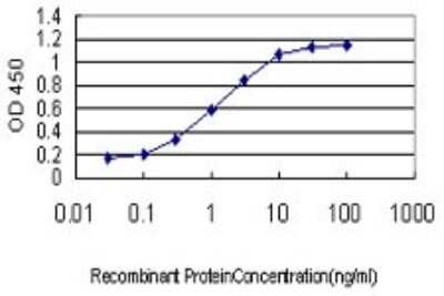 Sandwich ELISA: ING1 Antibody (2G11) [H00003621-M06] - Detection limit for recombinant GST tagged ING1 is approximately 0.1ng/ml as a capture antibody.