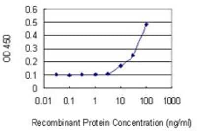 Sandwich ELISA: IPP Antibody (4C2) [H00003652-M01] - Detection limit for recombinant GST tagged IPP is 3 ng/ml as a capture antibody.