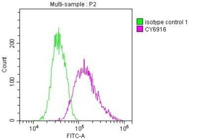 Flow Cytometry: IRAK4 Antibody (10H4) [NBP3-15153] - Overlay histogram showing Jurkat cells stained with IRAK4 antibody (red line) at 1:50. The cells were fixed with 70% Ethylalcohol (18h) and then incubated in 10% normal goat serum to block non-specific protein-protein interactions followedby the antibody (1ug/1*106cells) for 1 h at 4C.The secondary antibody used was FITC-conjugated goat anti-rabbit IgG (H+L) at 1/200 dilution for 30min at 4C. Control antibody (green line) was Rabbit IgG (1ug/1*106cells) used under the same conditions. Acquisition of >10,000 events was performed.