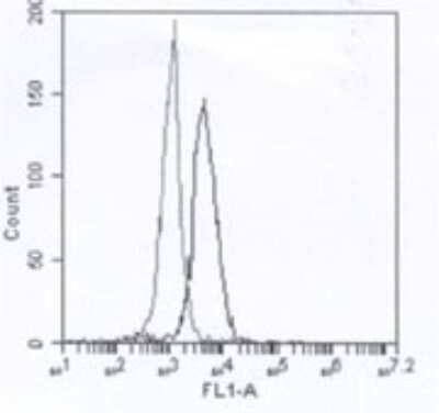 Flow Cytometry: IRAK4 Antibody (6F8) [DDX0340A647] - Intracellular FACS staining of caninecell line with 6F8 (BonnefontC, personal comm, 2011)