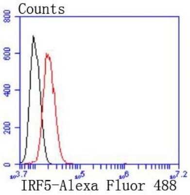 Flow Cytometry: IRF5 Antibody (SD203-07) [NBP2-67742] - Analysis of Hela cells with IRF5 antibody at 1/50 dilution (red) compared with an unlabelled control (cells without incubation with primary antibody; black). Alexa Fluor 488-conjugated goat anti rabbit IgG was used as the secondary antibody.