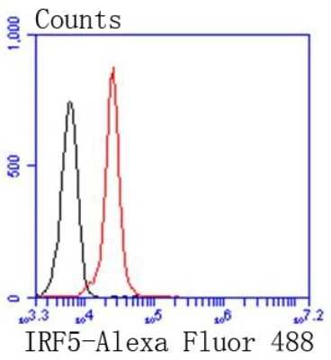 Flow Cytometry: IRF5 Antibody (SN201-05) [NBP2-67730] - Analysis of K562 cells with IRF5 antibody at 1/50 dilution (red) compared with an unlabelled control (cells without incubation with primary antibody; black). Alexa Fluor 488-conjugated goat anti rabbit IgG was used as the secondary antibody