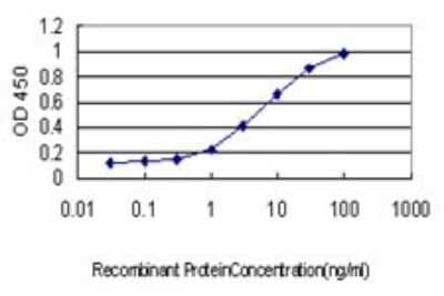 Sandwich ELISA: IRF9 Antibody (1C10) [H00010379-M01] - Detection limit for recombinant GST tagged ISGF3G is approximately 0.03ng/ml as a capture antibody.