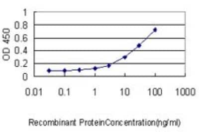 Sandwich ELISA: IRF9 Antibody (1D11) [H00010379-M02] - Detection limit for recombinant GST tagged ISGF3G is approximately 0.1ng/ml as a capture antibody.