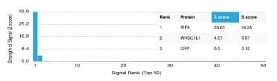 Protein Array: IRF9 Antibody (PCRP-IRF9-2F8) - Azide and BSA Free [NBP3-14228] - Analysis of Protein Array containing more than 19,000 full-length human proteins using IRF9 Antibody (PCRP-IRF9-2F8).