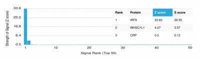 Protein Array: IRF9 Antibody (PCRP-IRF9-2F8) [NBP3-13835] -  Analysis of Protein Array containing more than 19,000 full-length human proteins using IRF9 Mouse Monoclonal Antibody (PCRP-IRF9-2F8).