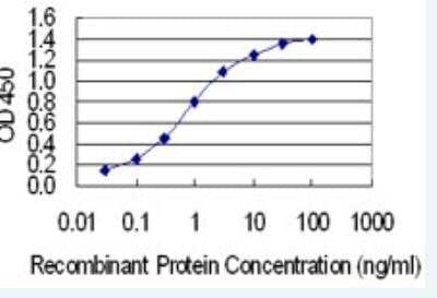 ELISA: IRX1 Antibody (1A11) [H00079192-M04-100ug] - Detection limit for recombinant GST tagged IRX1 is 0.03 ng/ml as a capture antibody.