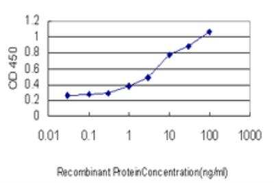 ELISA: IRX3 Antibody (3E7) [H00079191-M10] - Detection limit for recombinant GST tagged IRX3 is approximately 0.3ng/ml as a capture antibody.